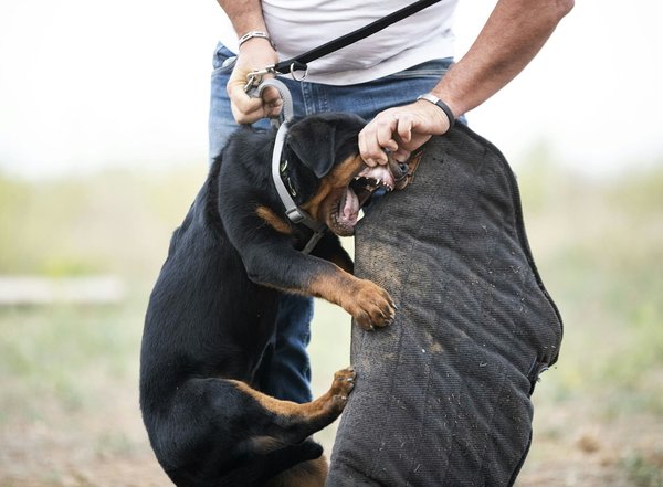 Quelles sont les meilleures pratiques pour sécuriser les appareils IoT dans les maisons intelligentes?